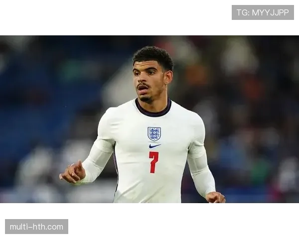 诺丁汉森林未来规划聚焦青训建设与阵容深度提升